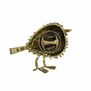 Rockin' robin brooch